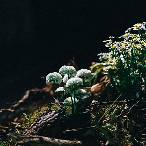 Арт выставка 15