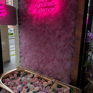 Сотрудничество