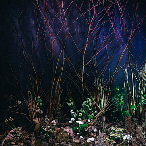 Арт выставка 10