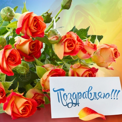 Открытка
