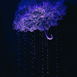 Арт выставка 8