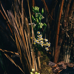 Арт выставка 11