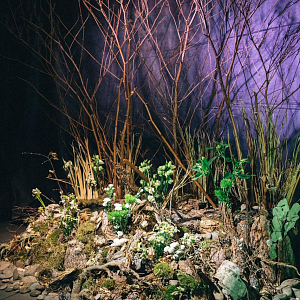 Арт выставка 13