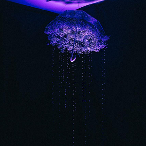 Арт выставка 17